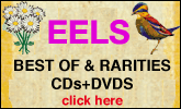 all about Meet the Eels and Useless Trinkets