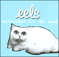 Novocaine for the Soul