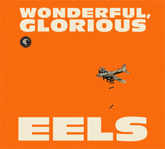 Wonderful Glorious Album info